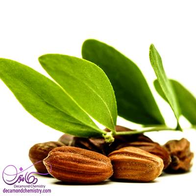 فروش عمده روغن جوجوبا - دکاموند شیمی