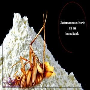 عوارض خاک دیاتومه - دکاموند شیمی