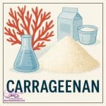 کاراگینان چیست؟ _ دکاموند شیمی